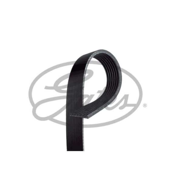 MONIURAHIHNA_GATES_7PK1095
